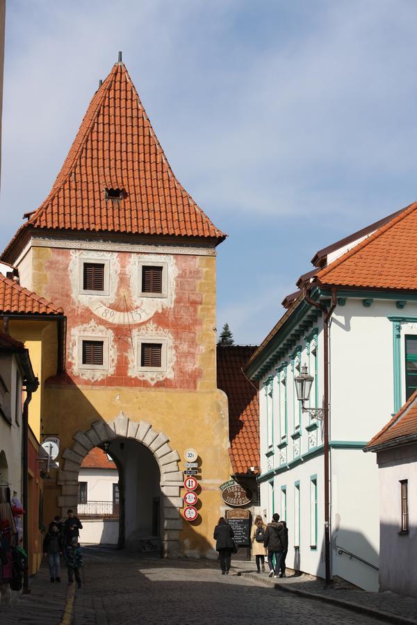 Latron 98 Daire Český Krumlov Dış mekan fotoğraf